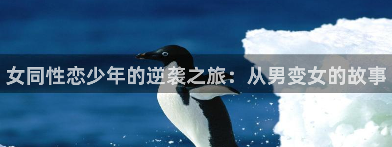里番番动漫在线观看：女同性恋少年的逆袭之旅：从男变女的故事配图