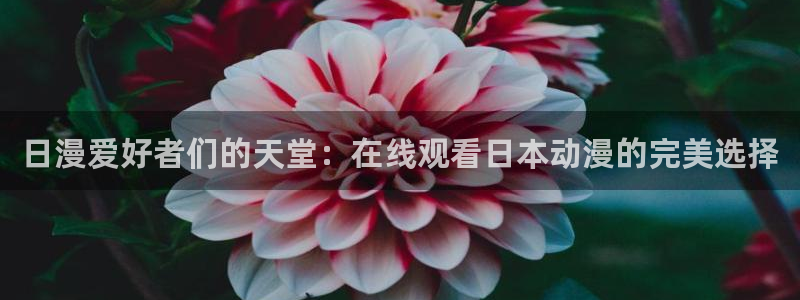 里番肉动漫在线观看：日漫爱好者们的天堂：在线观看日本动漫的完美选择配图