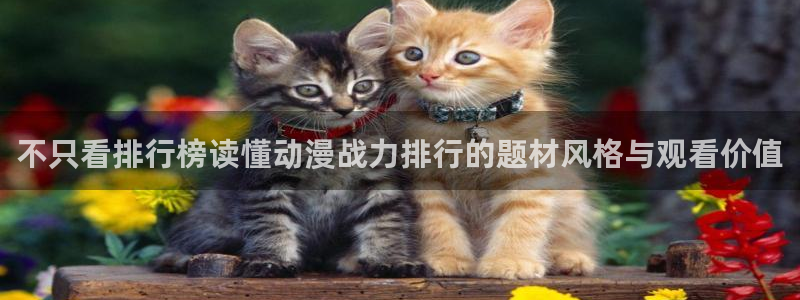 动漫里番资源在线观看:不只看排行榜读懂动漫战力排行的题材风格与观看价值配图