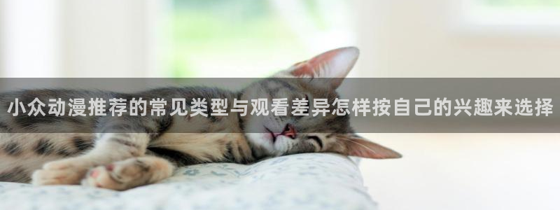 详细里番动漫在线观看：小众动漫推荐的常见类型与观看差异怎样按自己的兴趣来选择配图