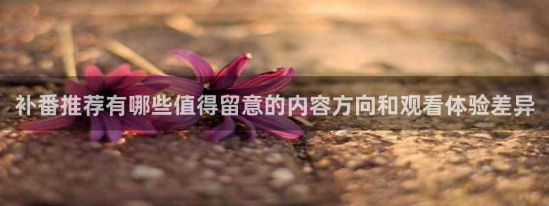 成年动漫在线观看番里:补番推荐有哪些值得留意的内容方向和观看体验差异配图