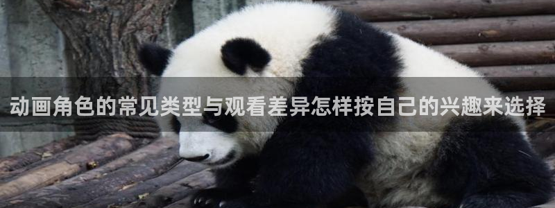 里番暴力动漫在线观看:动画角色的常见类型与观看差异怎样按自己的兴趣来选择配图