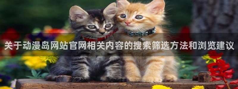 种子里番动漫在线观看：关于动漫岛网站官网相关内容的搜索筛选方法和浏览建议配图