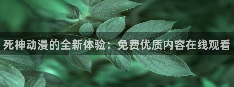 里番动漫全网在线观看:死神动漫的全新体验:免费优质内容在线观看配图