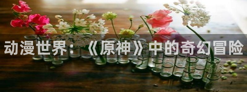 里番教室在线观看动漫:动漫世界:《原神》中的奇幻冒险配图