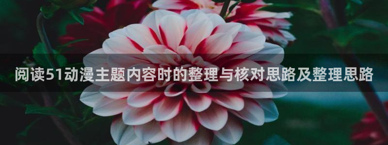 里番动漫在线观看：阅读51动漫主题内容时的整理与核对思路及整理思路配图