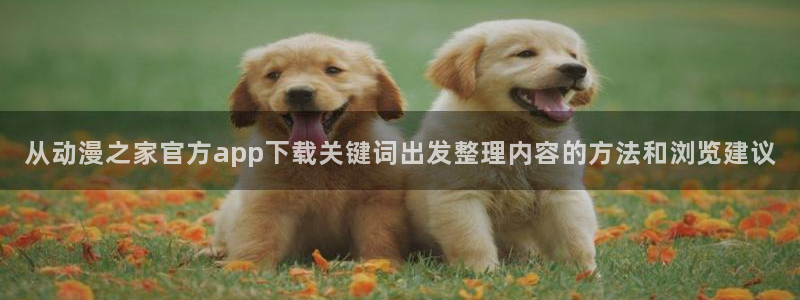 详细里番动漫在线观看：从动漫之家官方app下载关键词出发整理内容的方法和浏览建议配图