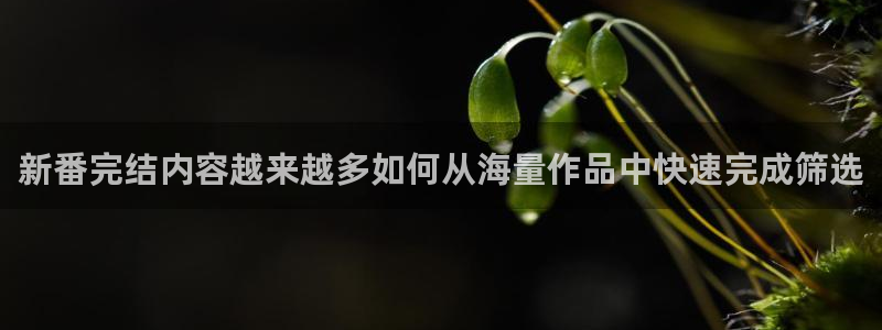 里番里番动漫在线观看：新番完结内容越来越多如何从海量作品中快速完成筛选配图
